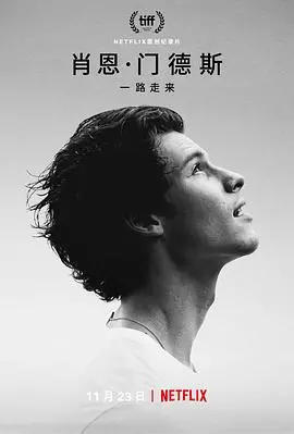 肖恩·门德斯：一路走来，他的音乐征服世界，你听懂了吗？