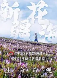 《生命奇观》：一部被低估的“警匪”佳作！“爱情游戏”般的套路下藏着多少惊心动魄？