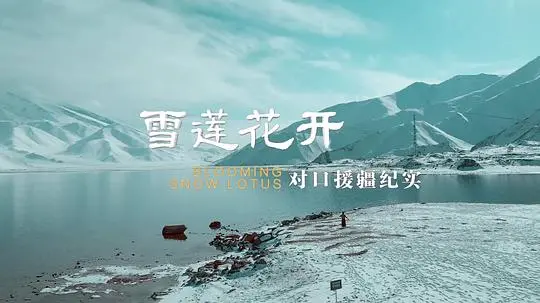 《雪莲花开》：一部触动心灵的对口援疆史诗，看普通人的奉献光辉